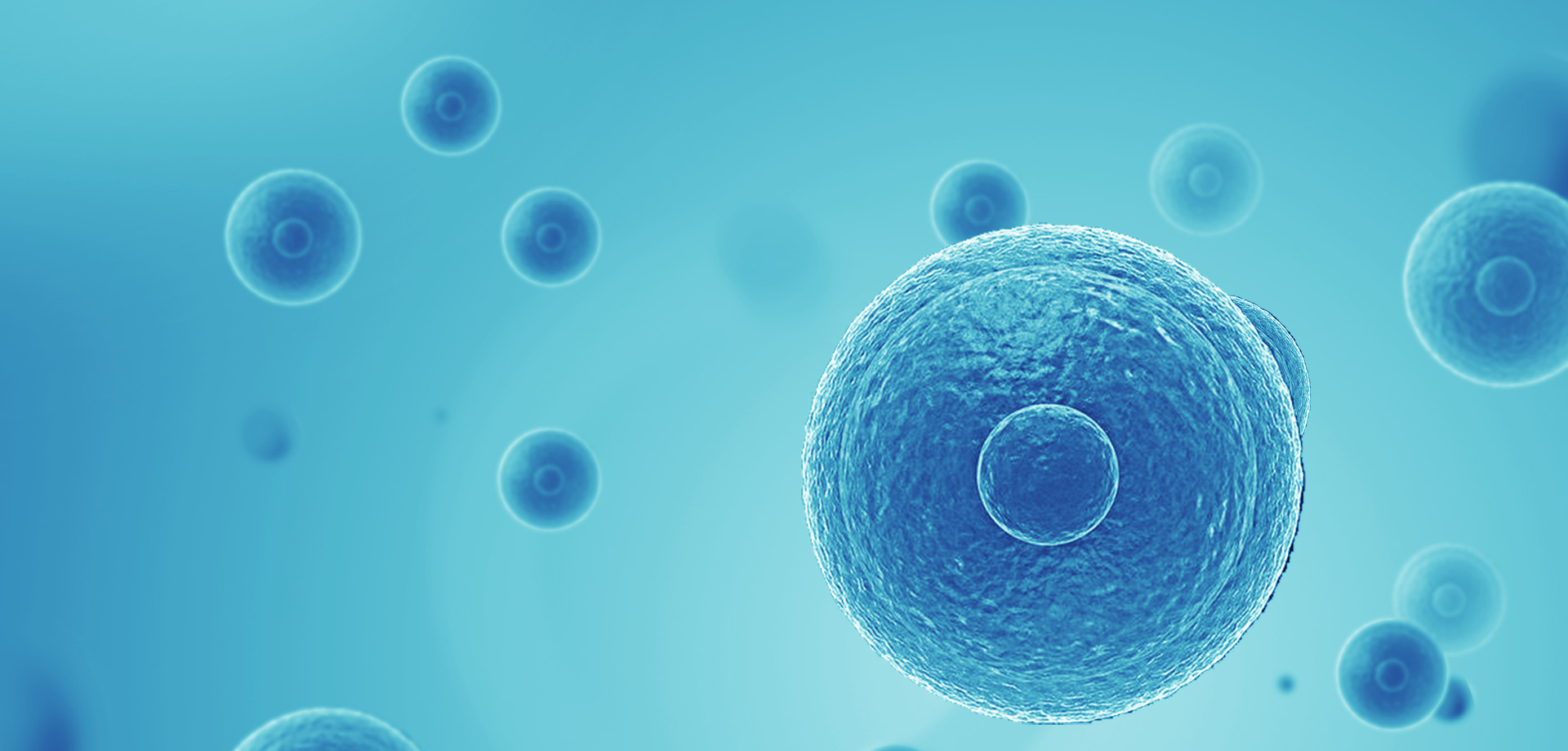 以患者需求為核心，驅(qū)動(dòng)細(xì)胞免疫治療創(chuàng)新，實(shí)現(xiàn)癌癥可控化并最終治愈。